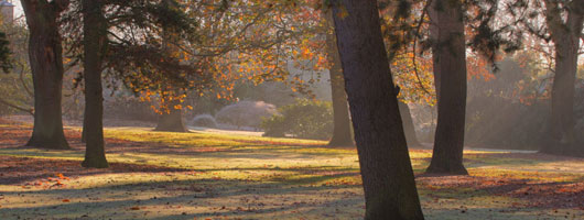 在线手机号轰炸测试